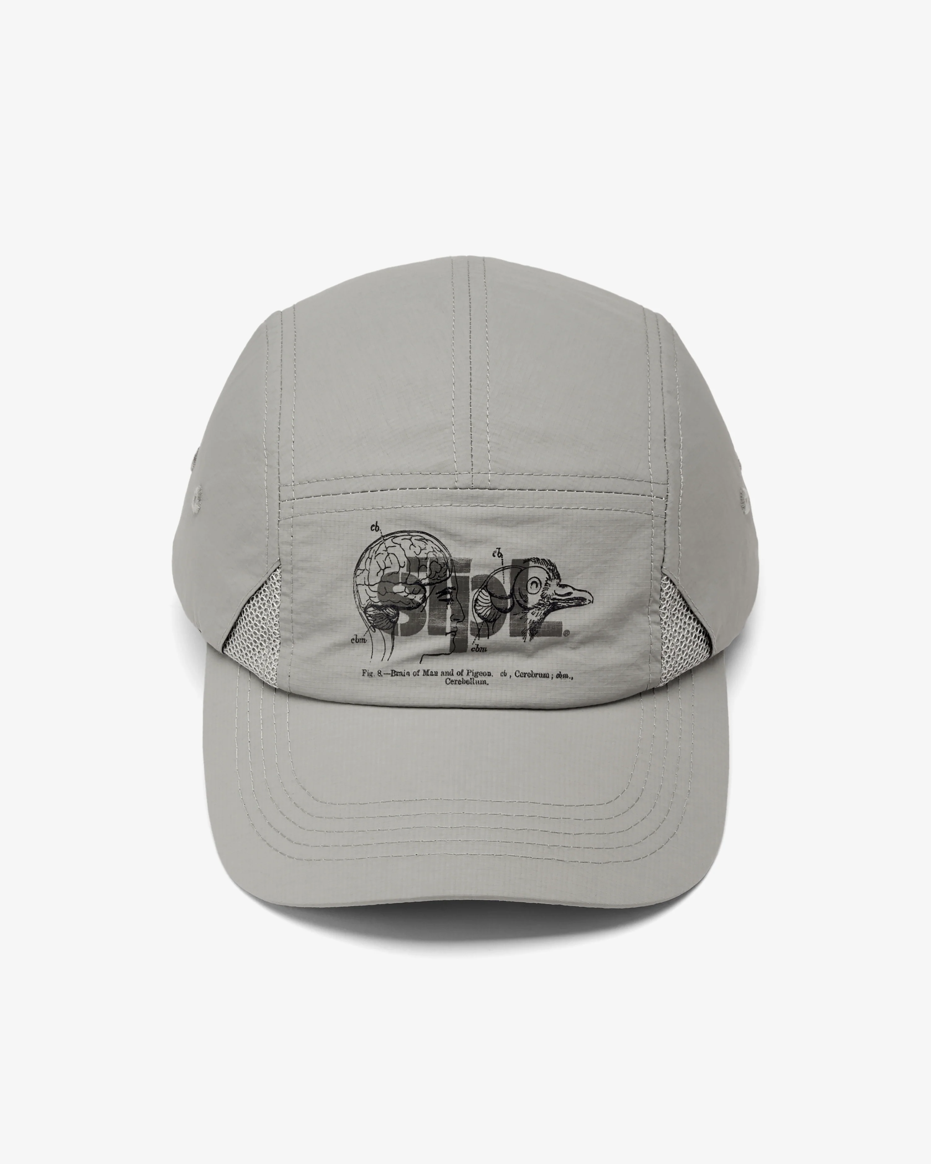 Apex Logo 5 Panel - Image 4
