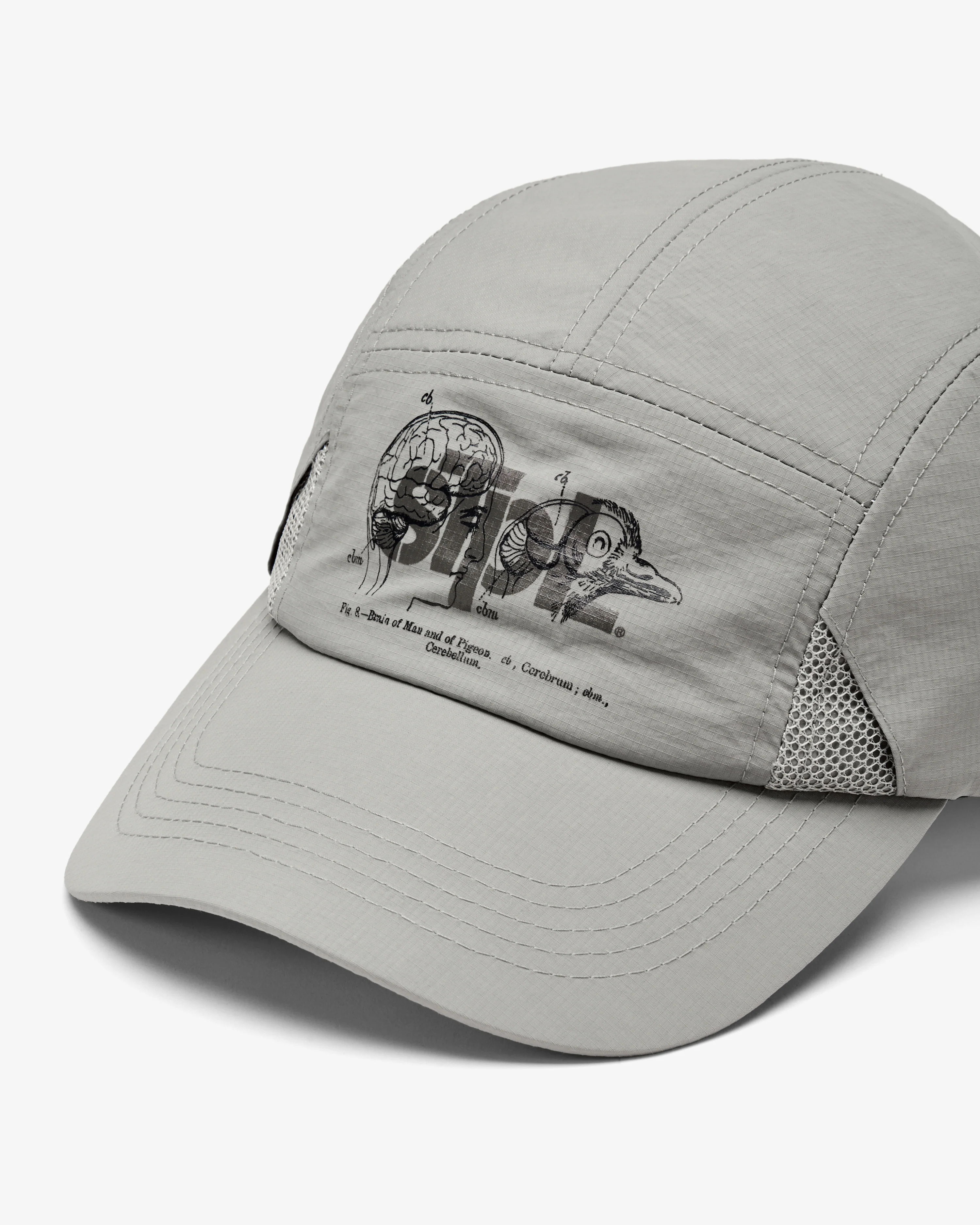 Apex Logo 5 Panel - Image 5