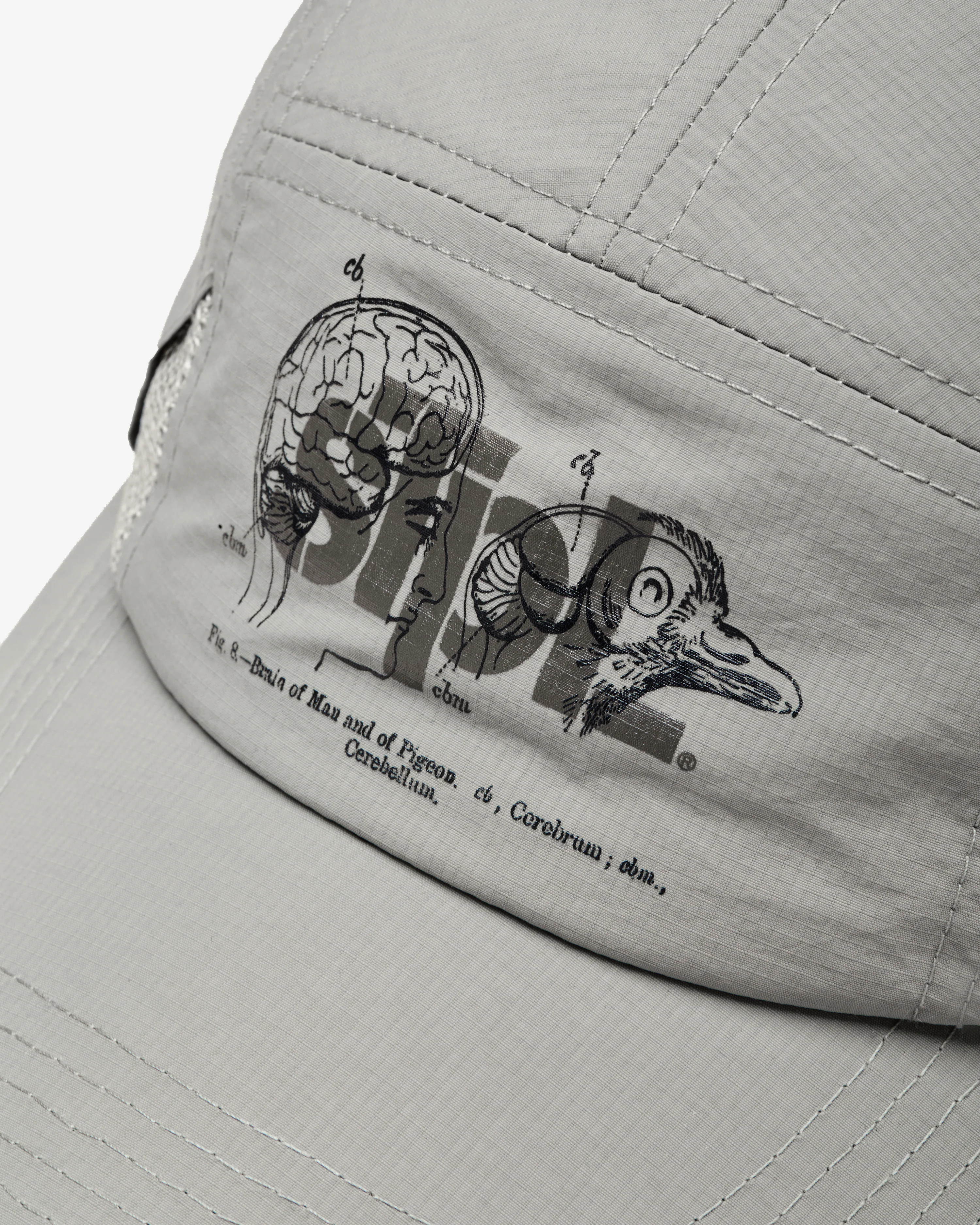 Apex Logo 5 Panel - Image 6
