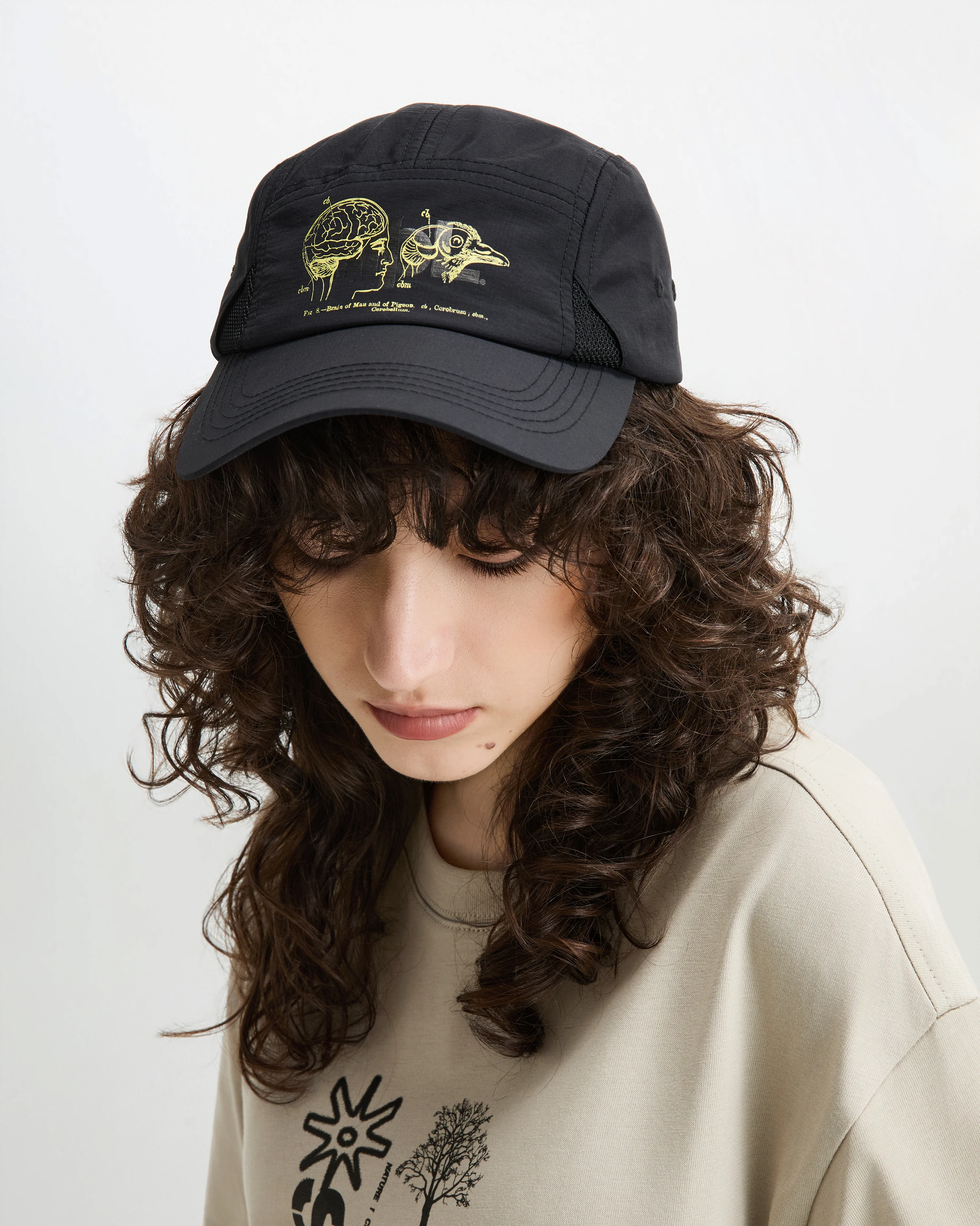 Apex Logo 5 Panel - Image 7