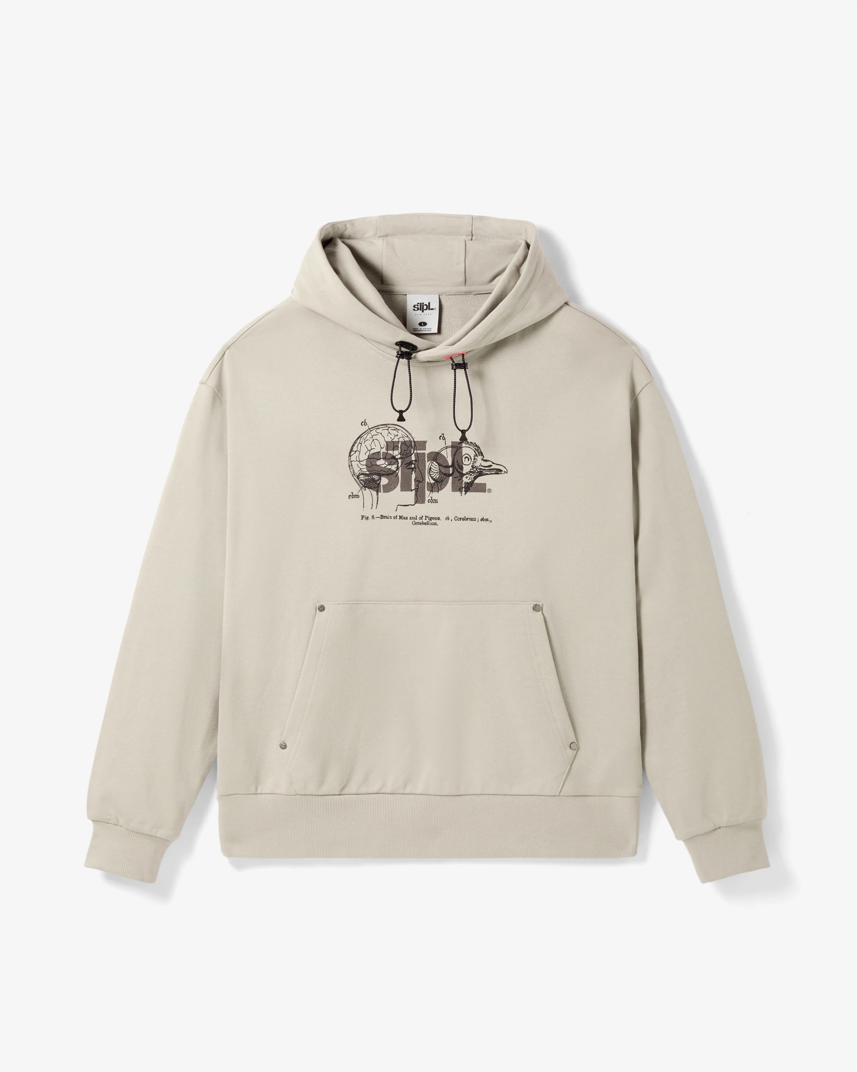 Apex Logo Hoodie