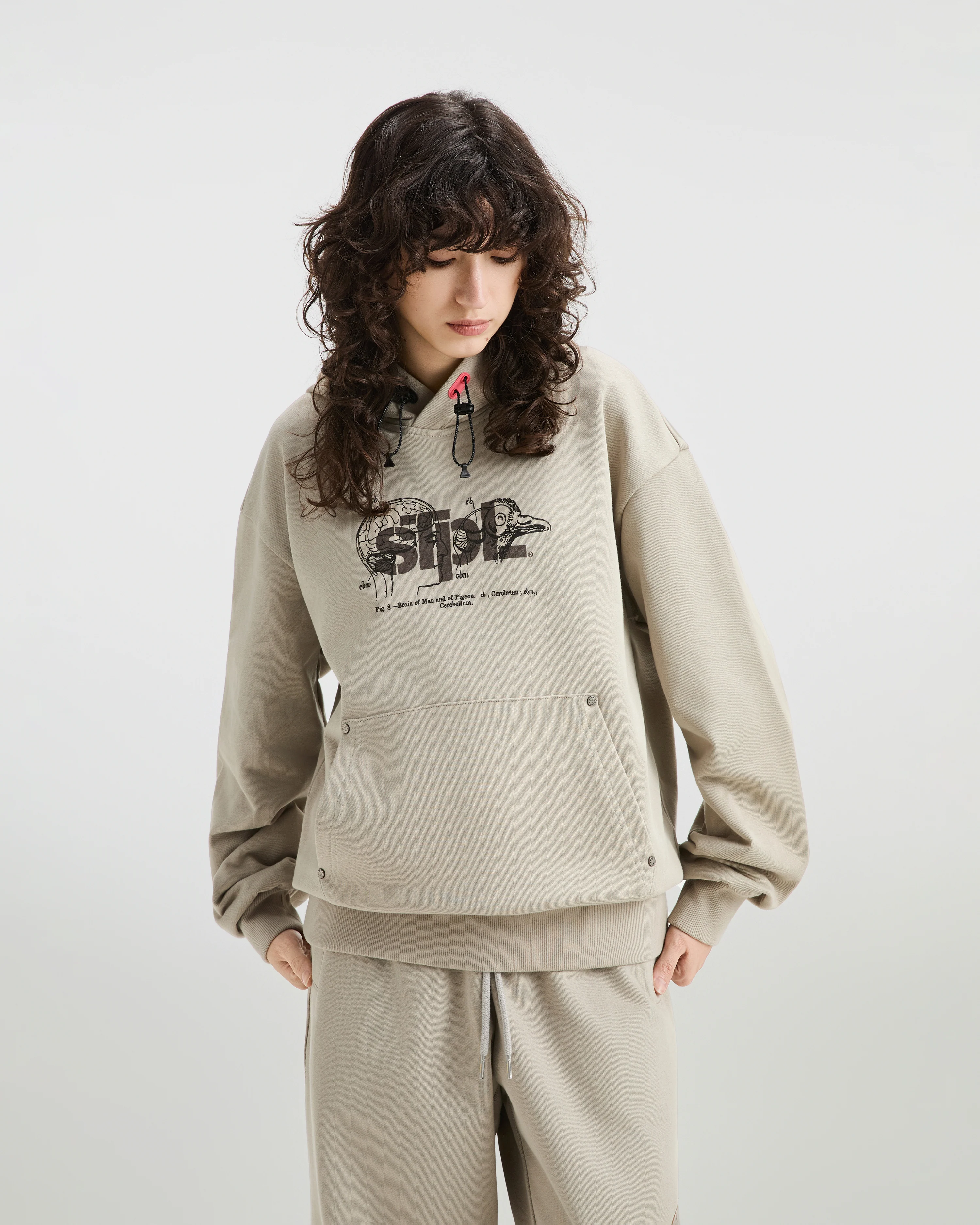 Apex Logo Hoodie - Image 11