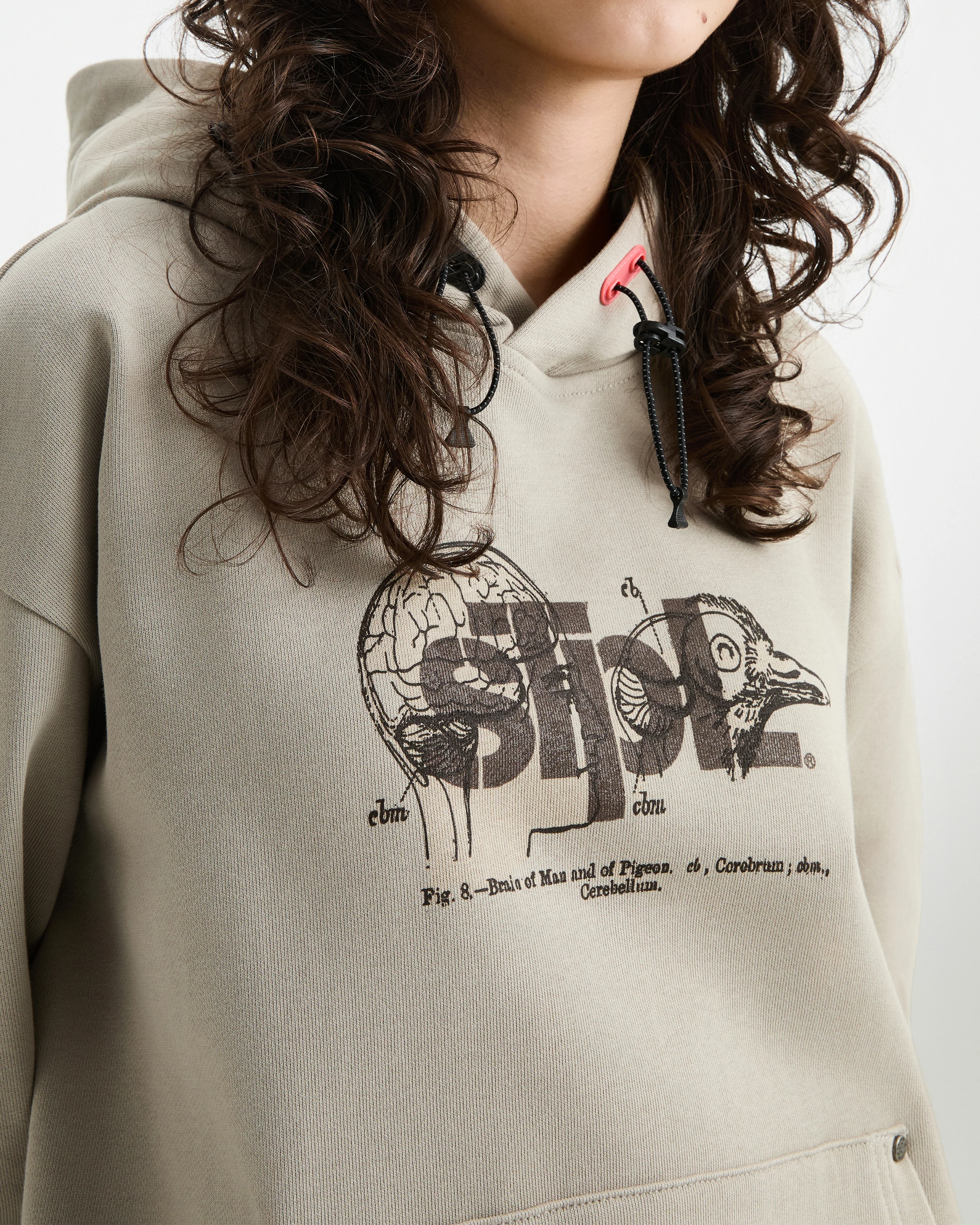 Apex Logo Hoodie - Image 12
