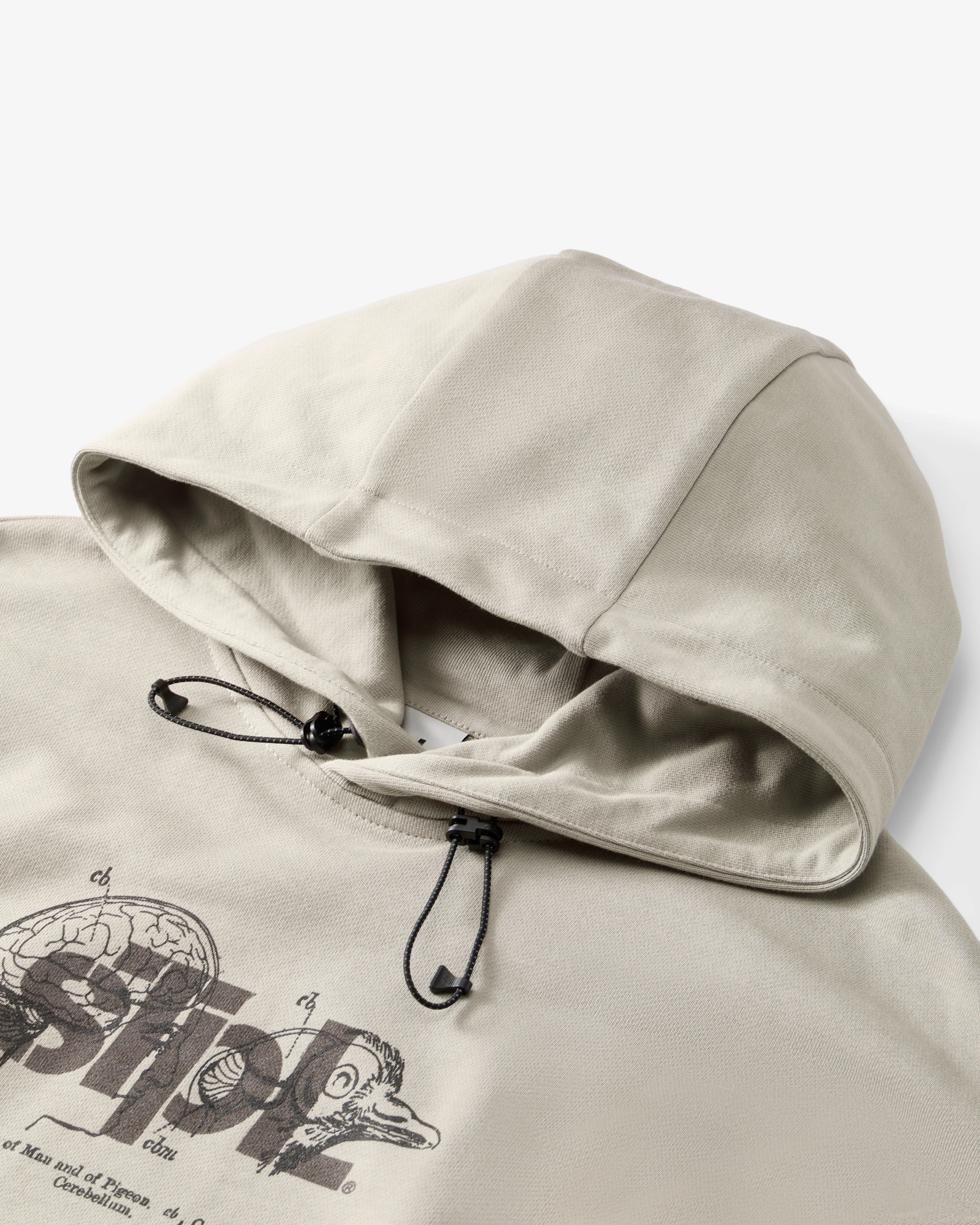 Apex Logo Hoodie - Image 3