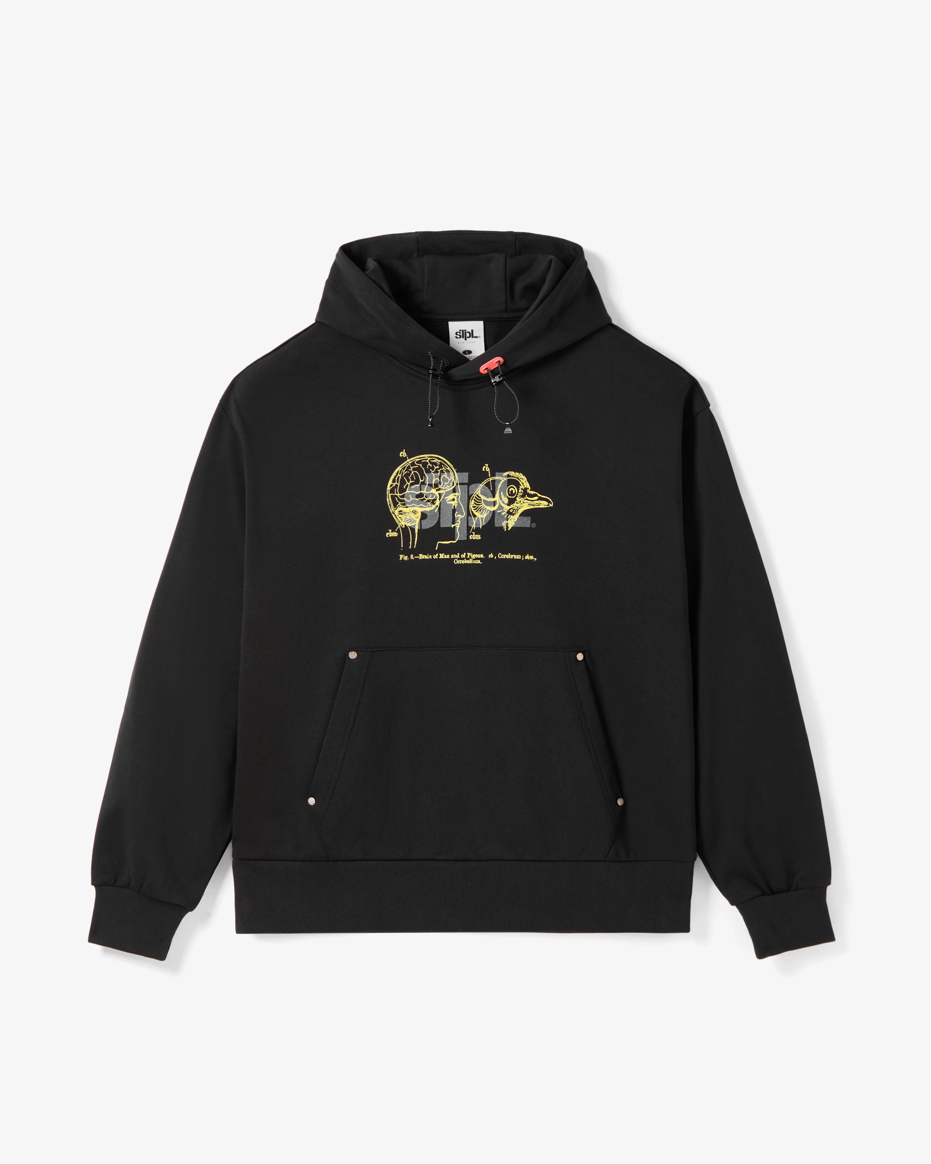 Apex Logo Hoodie