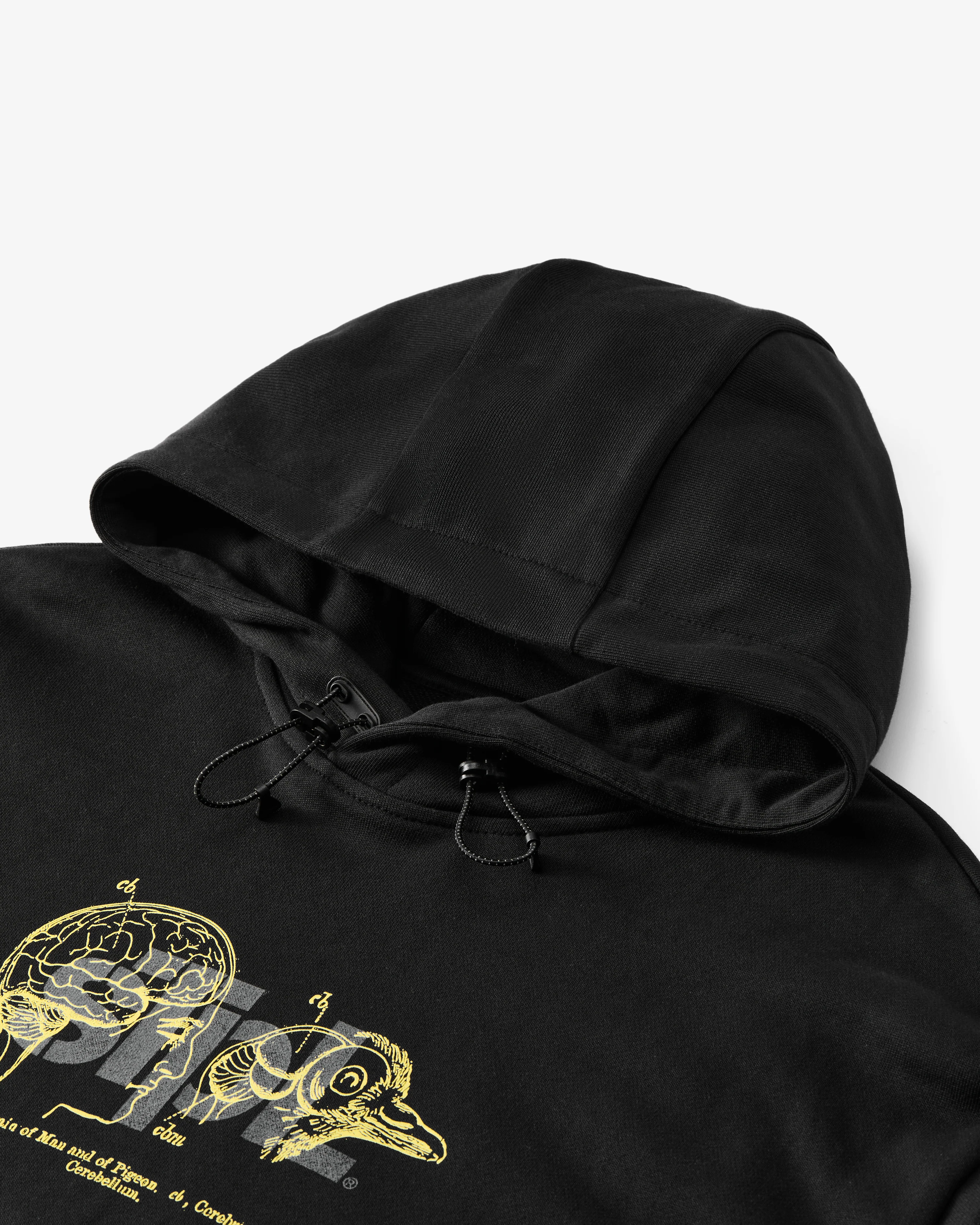 Apex Logo Hoodie - Image 3