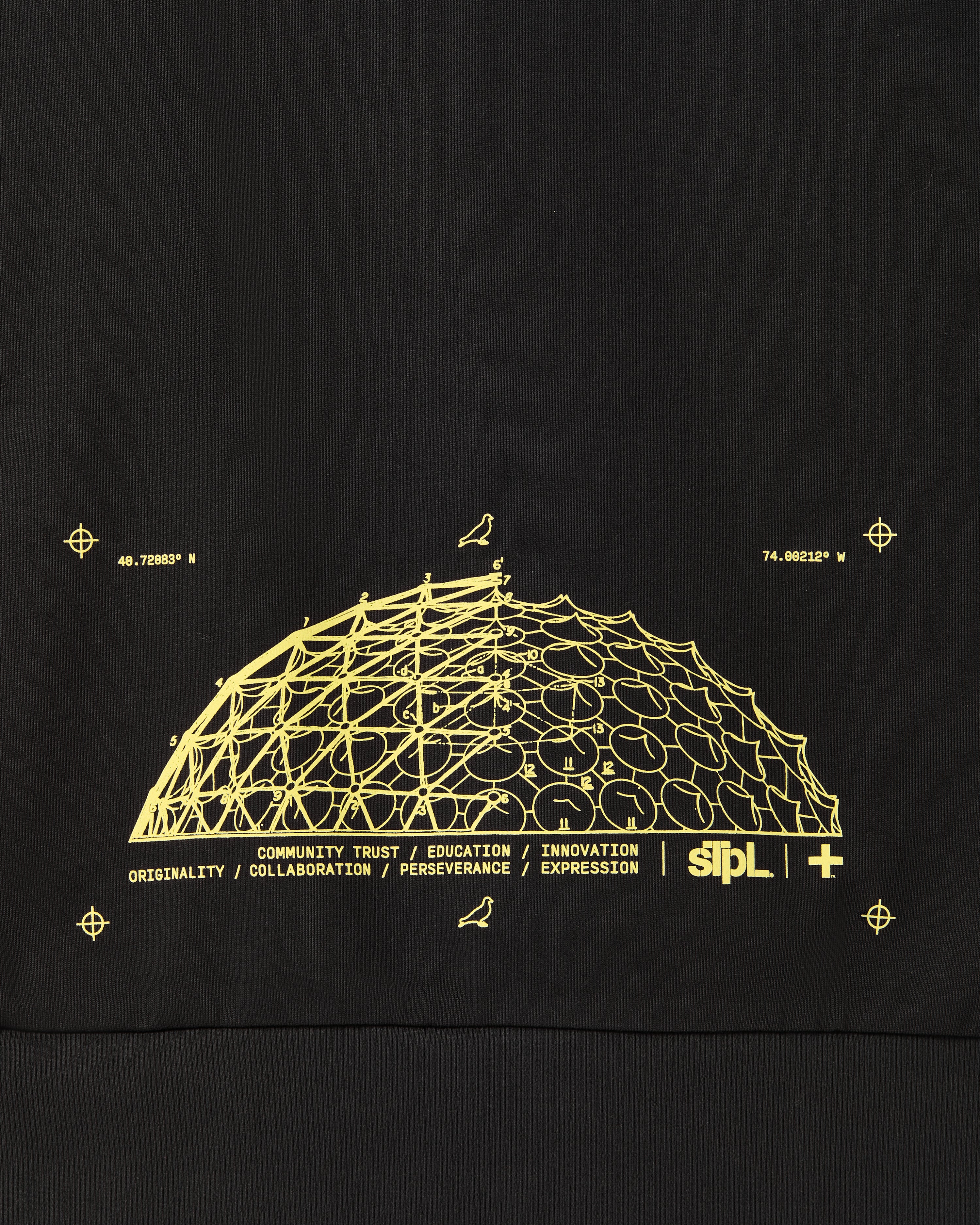 Apex Logo Hoodie - Image 5