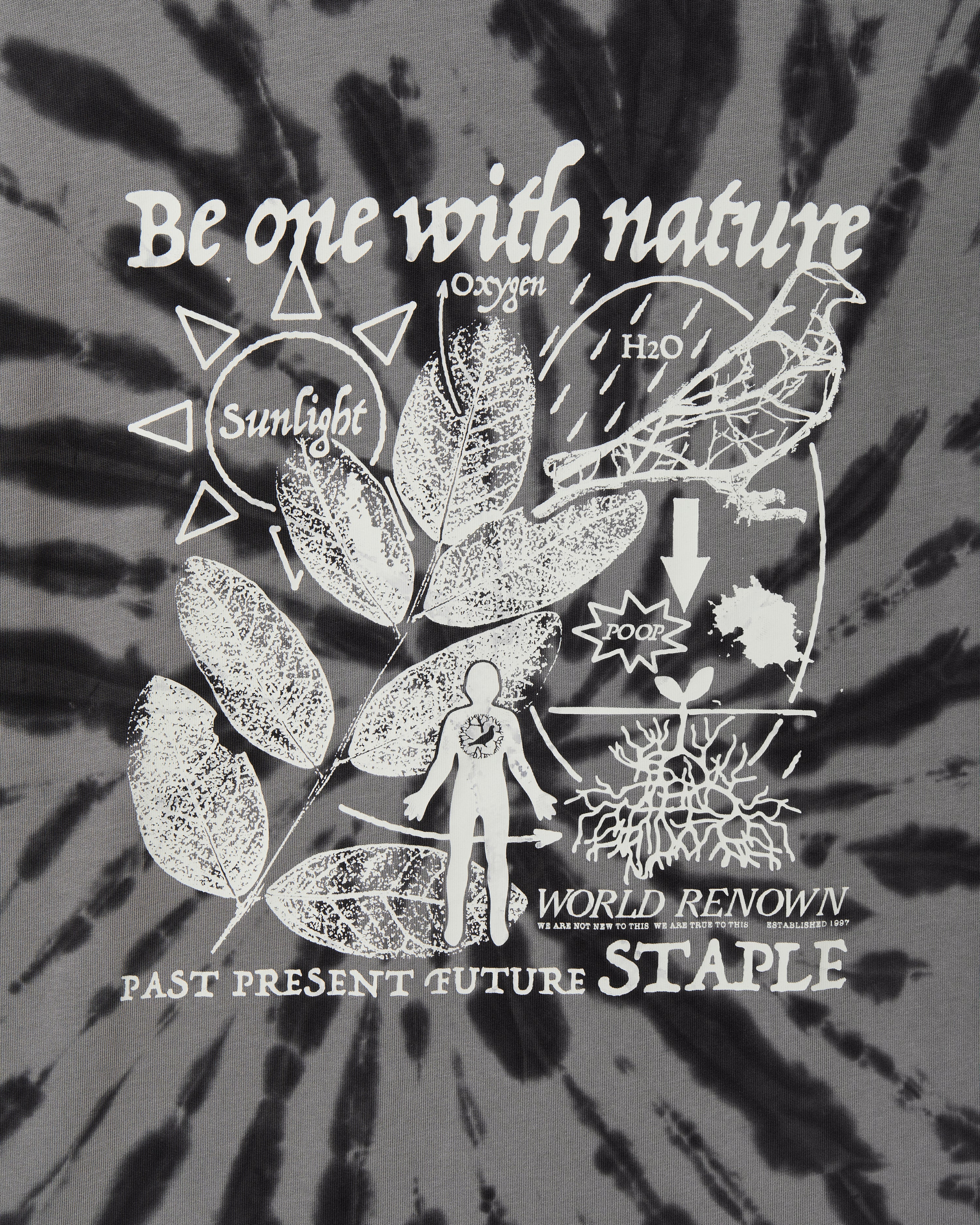 Cypress Graphic Tee - Image 4