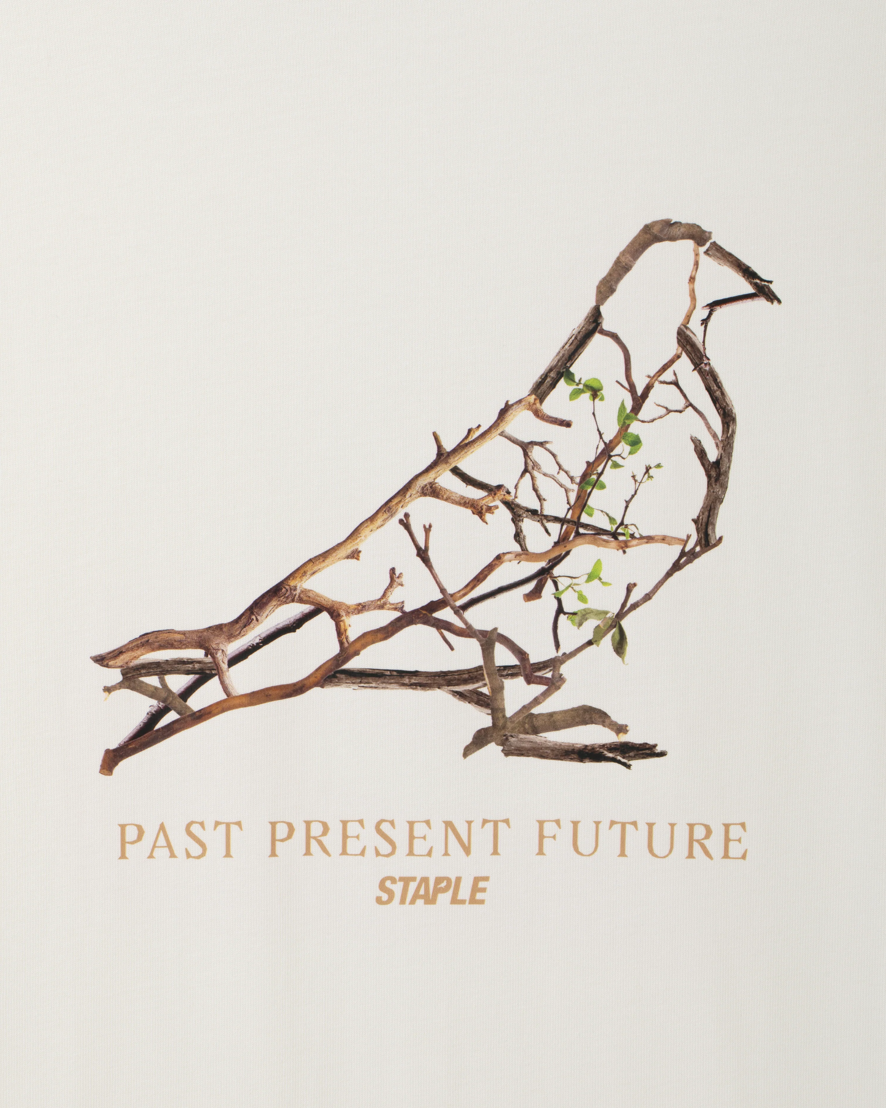 Foliage Pigeon Tee - Image 3
