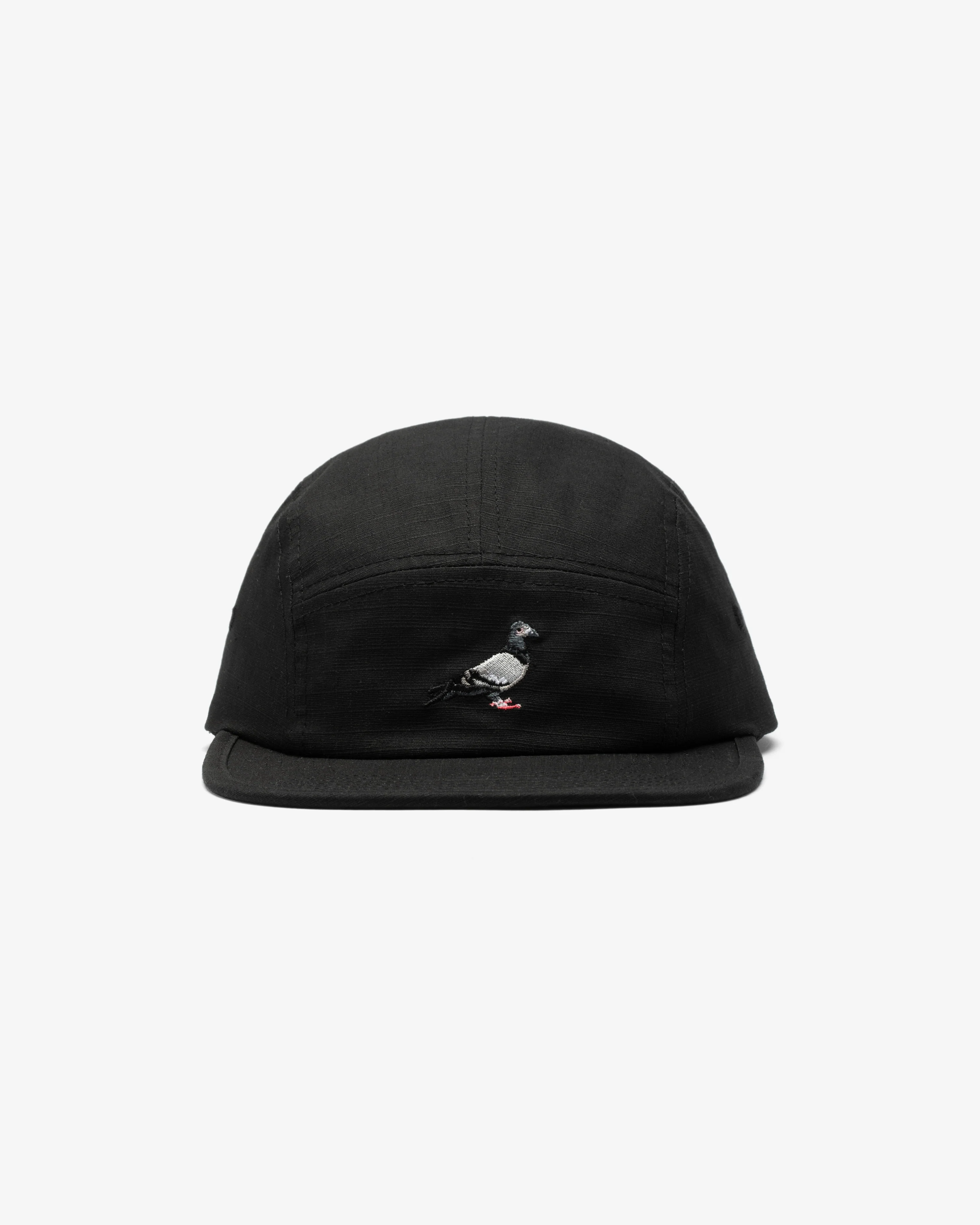 Pigeon 5 Panel
