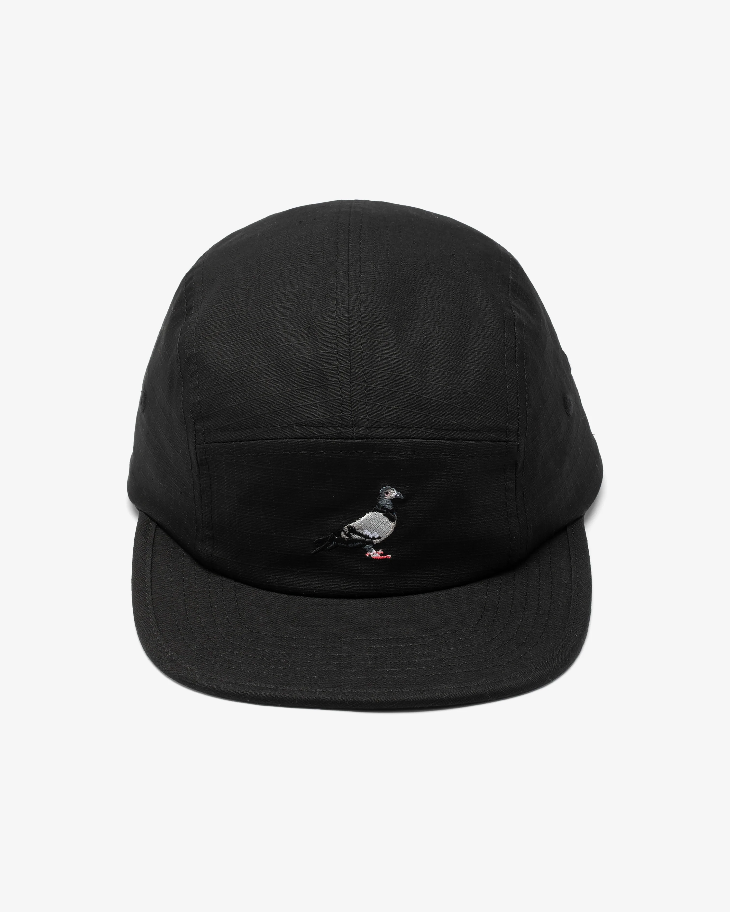 Pigeon 5 Panel - Image 4