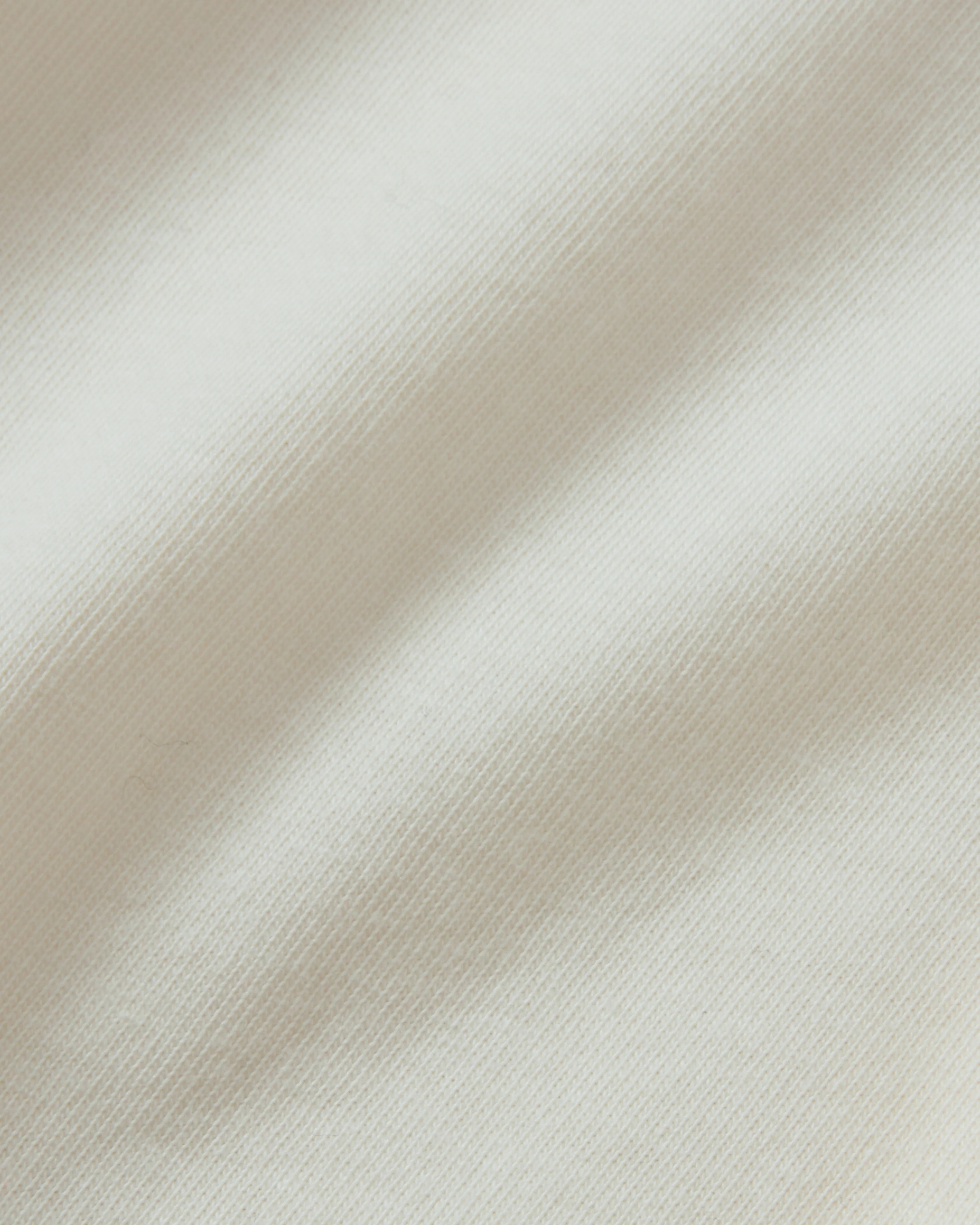 Pigeon Window Tee - Image 5